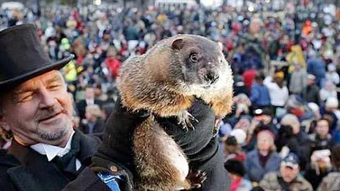 La marmota meteoróloga predice un invierno largo en EEUU