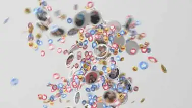 Facebook comienza a celebrar su aniversario con FriendsDay Facebook comienza a celebrar su aniversario con FriendsDay