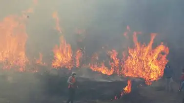 Rusia enviará gigantesco avión cisterna para combatir incendios en Chile Rusia enviará gigantesco avión cisterna para combatir incendios en Chile