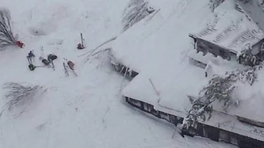 Árboles, rocas y nieve sepultaron hotel siniestrado bajo avalancha en Italia