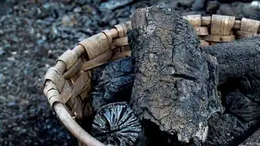 Cuba se pone las pilas con la exportación de carbón a EEUU Cuba se pone las pilas con la exportación de carbón a EEUU