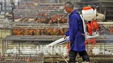 China registra una tercera muerte por gripe aviar H7N9 este invierno China registra una tercera muerte por gripe aviar H7N9 este invierno