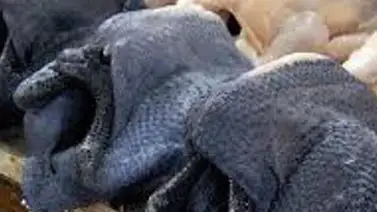 ¿Serías capaz de comerte un pollo negro? ¿Serías capaz de comerte un pollo negro?