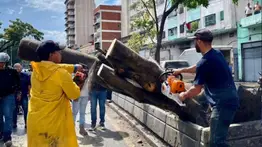 Atienden incidencias en Caracas por fuertes lluvias (+Videos)