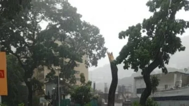 Así se derrumbó el techo de este centro comercial en Caracas por las fuertes lluvias