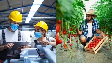 Chat GPT revela los mejores trabajos para inmigrantes latinos en EEUU Chat GPT revela los mejores trabajos para inmigrantes latinos en EEUU