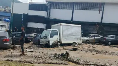 Reportan varios árboles caídos e inundaciones en Caracas este #12Ago (+Videos) Reportan varios árboles caídos e inundaciones en Caracas este #12Ago (+Videos)