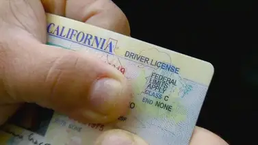 California | ¿Qué pena se paga por falsificar una licencia de conducir? California | ¿Qué pena se paga por falsificar una licencia de conducir?