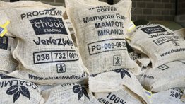 Venezuela exporta café a Japón (+Detalles)