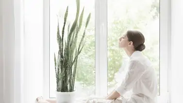 Guia completa de cómo mejorar la calidad del aire dentro de casa Guia completa de cómo mejorar la calidad del aire dentro de casa