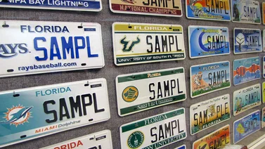 Florida | Conozca la sanción para quienes circulen con placas personalizadas (+Detalles)
