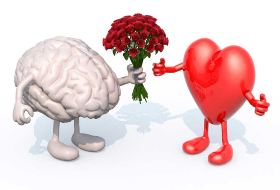 Inteligencia emocional: Estos son los hábitos que asumen las personas con esta habilidad