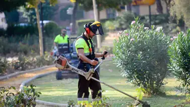 EEUU | Esta empresa en California brinda salario mensual de $ 4.000 EEUU | Esta empresa en California brinda salario mensual de $ 4.000