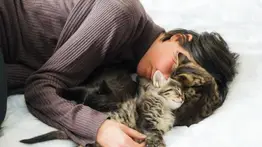 Señales que los gatos entienden los estados de ánimo de sus amos