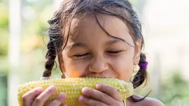 Illinois| El Summer EBT ofrecerá subsidio alimenticio a los niños durante el verano Illinois| El Summer EBT ofrecerá subsidio alimenticio a los niños durante el verano