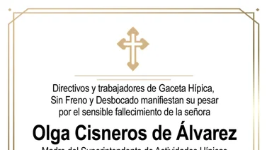 OLGA CISNEROS DE ÁLVAREZ Q.E.P.D