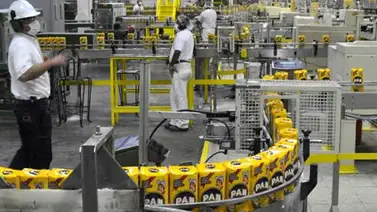 Polar: Producción de harina precocida podría interrumpirse por falta de materia prima Polar: Producción de harina precocida podría interrumpirse por falta de materia prima