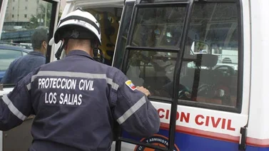 Múltiples caídas de arboles se reportan en el municipio Los Salias de Los Teques