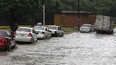 Depredación forestal potenció deslaves registrados en Yaracuy Depredación forestal potenció deslaves registrados en Yaracuy