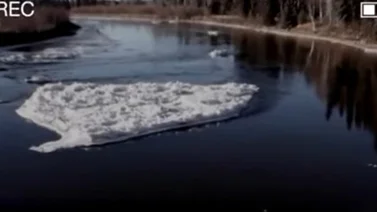 Descubren a un monstruo marino en Alaska (+Video)