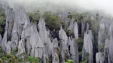 Turista sobrevive 12 días perdido en un parque natural de Malasia Turista sobrevive 12 días perdido en un parque natural de Malasia