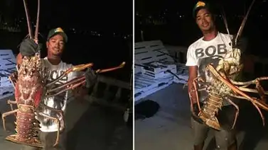 Un pescador capturó por accidente la langosta más grande que haya visto en su vida Un pescador capturó por accidente la langosta más grande que haya visto en su vida