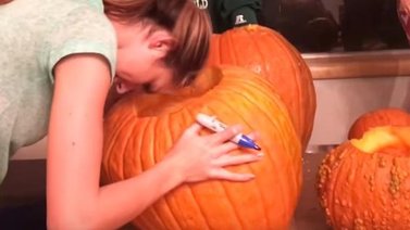 Nunca metas la cabeza en una calabaza (+Video)