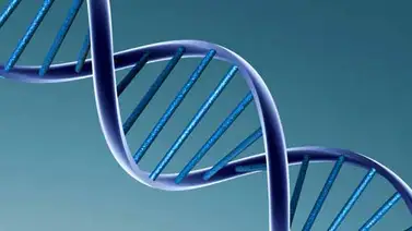 Niños con ADN de tres personas crecen normalmente Niños con ADN de tres personas crecen normalmente