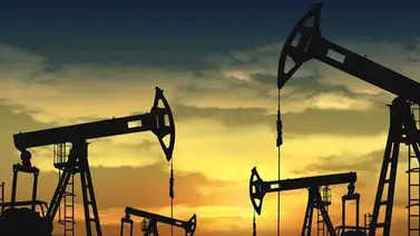 Cesta Opep cerró el viernes en 48,08 dólares Cesta Opep cerró el viernes en 48,08 dólares