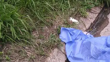 El cadáver de una mujer fue hallado en la carretera Panamericana El cadáver de una mujer fue hallado en la carretera Panamericana