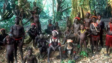 ¿Sabes qué son los safaris humanos?