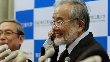 Yoshinori Ohsumi ganó el Nobel de Medicina por descubrir mecanismo de autofagia celular Yoshinori Ohsumi ganó el Nobel de Medicina por descubrir mecanismo de autofagia celular