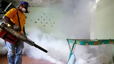 Costos de fumigación envenenan el bolsillo (+Precios) Costos de fumigación envenenan el bolsillo (+Precios)