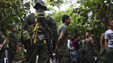 Oposición teme que guerrilla colombiana migre a Venezuela tras firma de paz