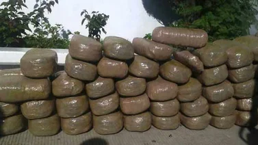 GNB incautó 51 kilos de presunta marihuana en Maracaibo