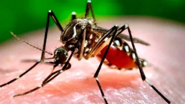 Malasia suspende los viajes escolares a Singapur y Filipinas por el zika