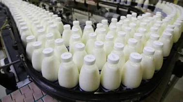 Cavilac: Suministro de leche pasteurizada se regularizará en las próximas semanas