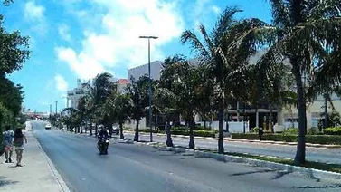 Cocodrilo ataca a ciudadano estadounidense en Laguna Nichupté de Cancún
