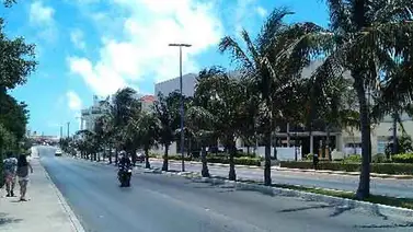 Cocodrilo ataca a ciudadano estadounidense en Laguna Nichupté de Cancún Cocodrilo ataca a ciudadano estadounidense en Laguna Nichupté de Cancún