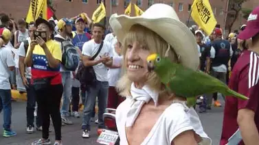 Este es Carlitos el loro real que también quiere revocatorio (+ Video) Este es Carlitos el loro real que también quiere revocatorio (+ Video)