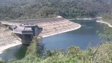 Plantan 2.000 árboles para reforestar inmediaciones de embalse Agua Fría