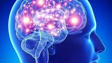 12 curiosidades que no sabías de tu cerebro 12 curiosidades que no sabías de tu cerebro