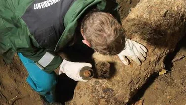 Desactivada en Berlín una bomba soviética de la Segunda Guerra Mundial