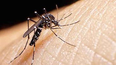 Cuba suma el vigésimo segundo caso importado de zika