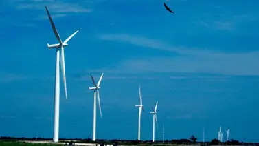 Los 10 parques eólicos más grandes del mundo Los 10 parques eólicos más grandes del mundo