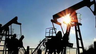 Cesta Opep se situó en 46 dólares por barril Cesta Opep se situó en 46 dólares por barril