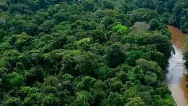 En Aragua se encuentran activas más de 100 brigadas ambientales En Aragua se encuentran activas más de 100 brigadas ambientales