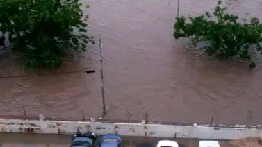 Palo de agua desbordó el río Cabriales en Valencia (+Fotos) Palo de agua desbordó el río Cabriales en Valencia (+Fotos)