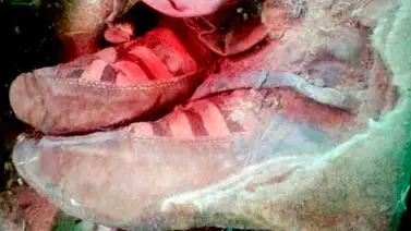Encuentran a momia de hace más de mil años con zapatos Adidas en Mongolia Encuentran a momia de hace más de mil años con zapatos Adidas en Mongolia