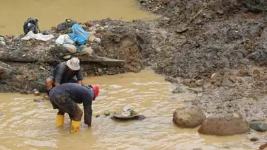 Ratifican medidas de protección contra minería ilegal en Bolívar, Amazonas y Delta Amacuro Ratifican medidas de protección contra minería ilegal en Bolívar, Amazonas y Delta Amacuro